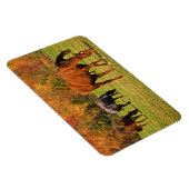 秋の馬 マグネット (右側)