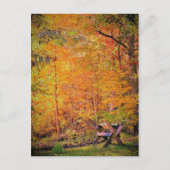 秋の魔法 ポストカード (正面)