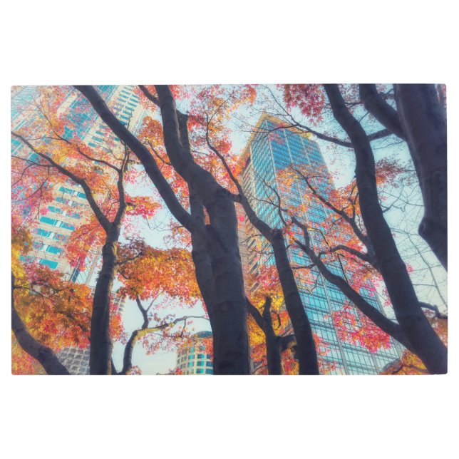 秋の鮮やか都市景観の風景 メタルプリント (正面)