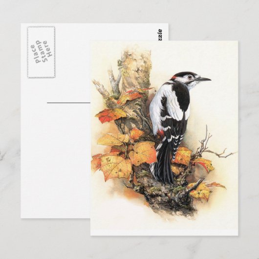 秋の鳥 ポストカード (正面/裏面)