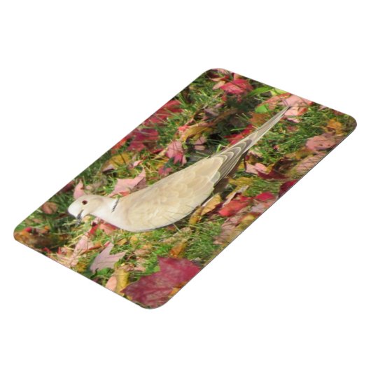 秋の鳩 マグネット (左側)