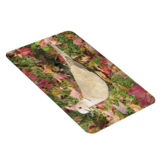 秋の鳩 マグネット (右側)