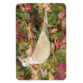 秋の鳩 マグネット (縦)