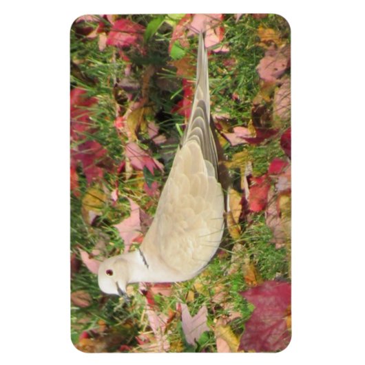 秋の鳩 マグネット (縦)