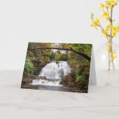 秋の鷹滝 カード (黄色い花)