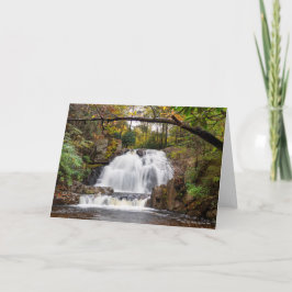 秋の鷹滝 カード