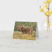 秋の鹿のメモ カード (黄色い花)