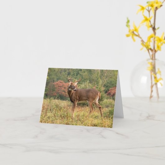 秋の鹿のメモ カード (黄色い花)