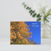 秋の黄森 ポストカード (スタンド正面)