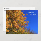 秋の黄森 ポストカード (正面/裏面)