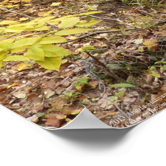 秋の黄色い木々の流れ ポスター (角)