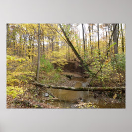 秋の黄色い木々の流れ ポスター