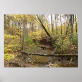 秋の黄色い木々の流れ ポスター (正面)