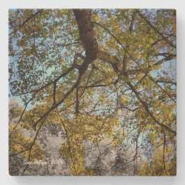 秋の黄色い木 ストーンコースター