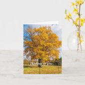 秋の黄色い砂糖メープル考えるのOf Youカード カード (黄色い花)