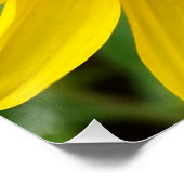 秋の黄色い花 ポスター (コーナー)