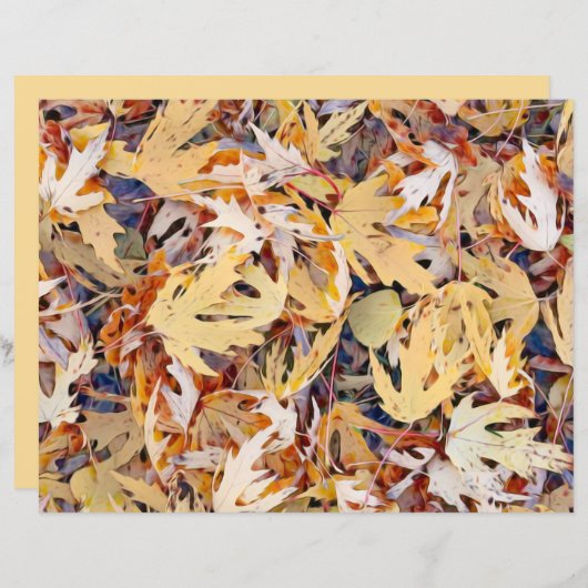 秋の黄色色彩の鮮やかのメエデ葉ルの (正面/裏面)