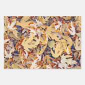 秋の黄色色彩の鮮やかのメエデ葉ルの ラッピングペーパーシート (正面2)