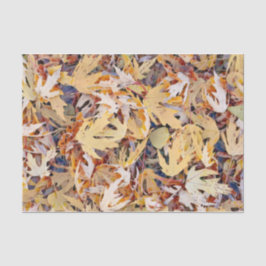 秋の黄色色彩の鮮やかのメエデ葉ルの 薄葉紙