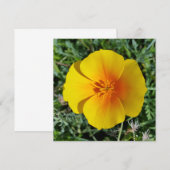 秋の黄色 (正面/裏面)