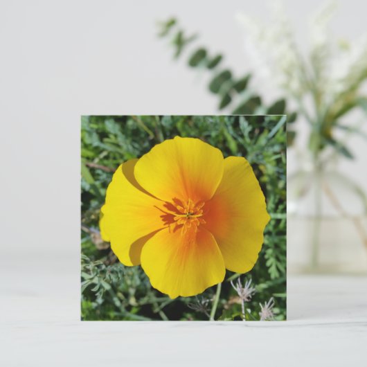 秋の黄色 (スタンド正面)