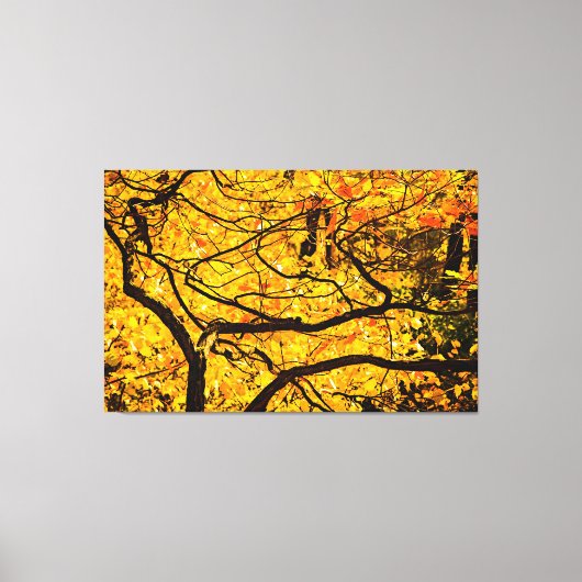 秋の黄金脈 キャンバスプリント (正面)