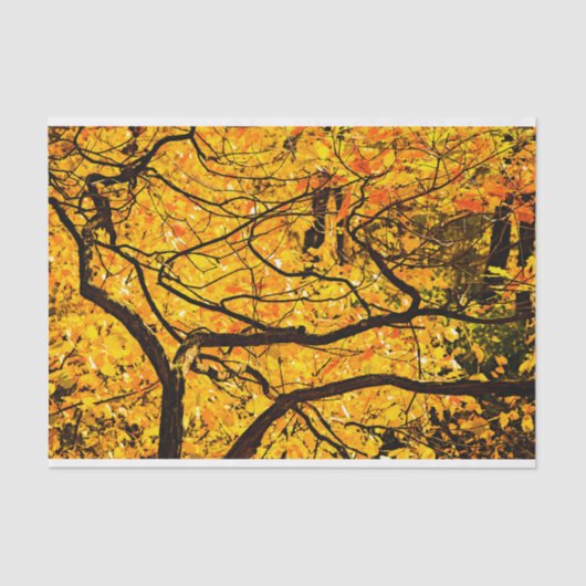 秋の黄金脈 薄葉紙 (正面)