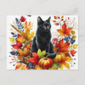秋の黒猫と季節の離れはがき ポストカード (正面)