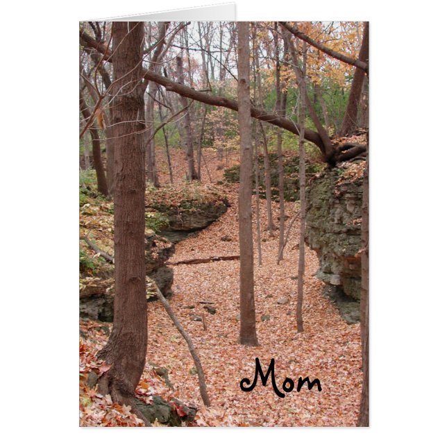 秋の~の誕生日のお母さん (正面)