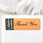 秋の《植物》アスペンの木の素朴感謝していなラベル ラベル (インサイチュ)