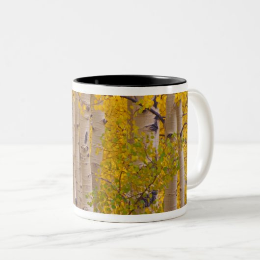 秋の《植物》アスペンはコロラド州のキブラー峠にある。 ツートーンマグカップ (正面右)