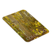 秋の《植物》アスペンズオンインディペンデンスパスコロラド マグネット (右側)