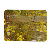 秋の《植物》アスペンズオンインディペンデンスパスコロラド マグネット (横)