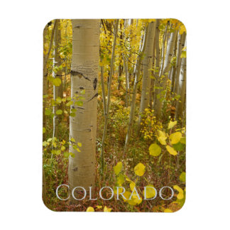 秋の《植物》アスペンズオンインディペンデンスパスコロラド マグネット