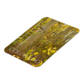 秋の《植物》アスペンズオンインディペンデンスパスコロラド マグネット (左側)