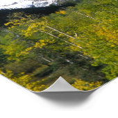 秋の《植物》アスペン林でマルーンの鐘。 ポスター (角)