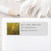 秋の《植物》アスペン林 ラベル (インサイチュ)