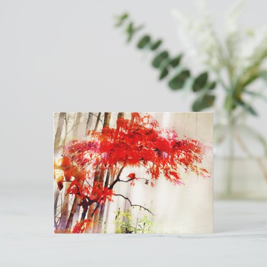 秋の(鳥)ショウジョウコウカンチョウ日本の、赤楓の木、葉書 ポストカード (スタンド正面)