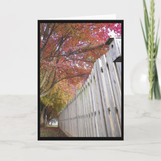 秋の~ 14 カード