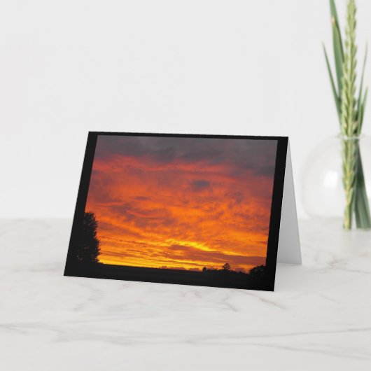 秋の~ 4 カード (正面)