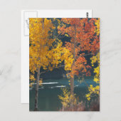 秋のbeaver湖(mesa湖) ポストカード (正面/裏面)