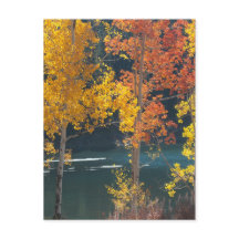 秋のbeaver湖(mesa湖)