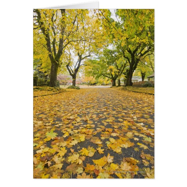 秋のEastmorelandの近隣 (正面)