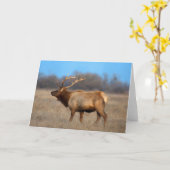 秋のElkプロフィール カード (黄色い花)