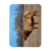 秋のElkプロフィール マグネット (縦)