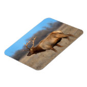 秋のElkプロフィール マグネット (左側)