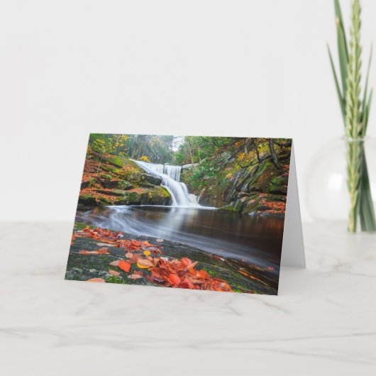 秋のEnderの滝 カード (正面)