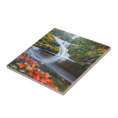 秋のEnderの滝 タイル (側面)