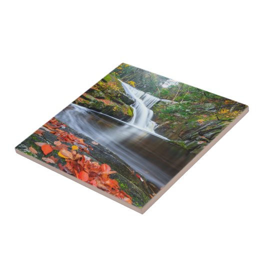 秋のEnderの滝 タイル (側面)