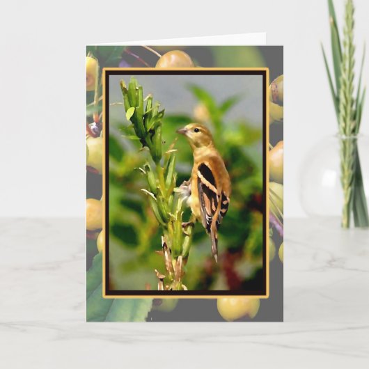 秋のGoldfinch及びCrabapples Notecard カード (正面)